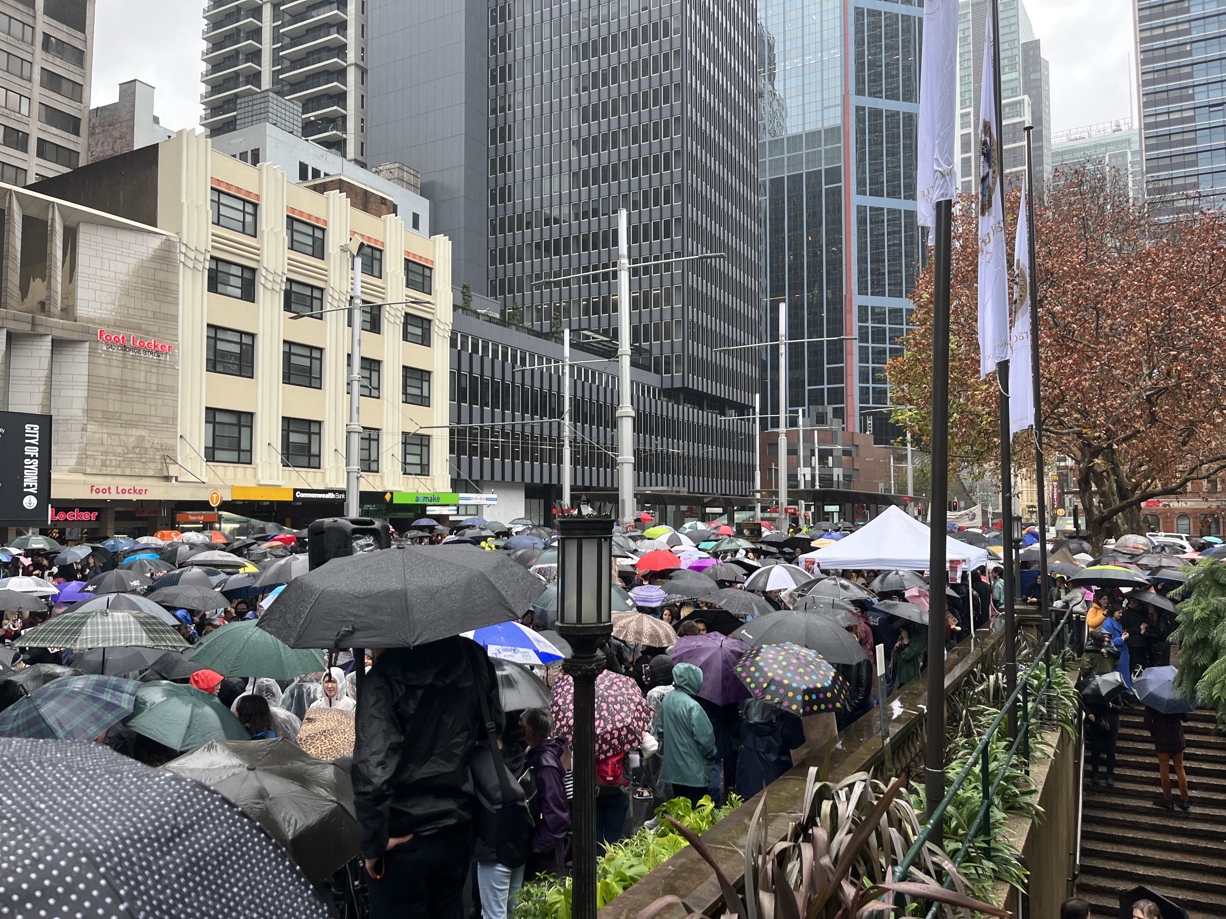 Hundreds of protesters in Sydney's Town Hall