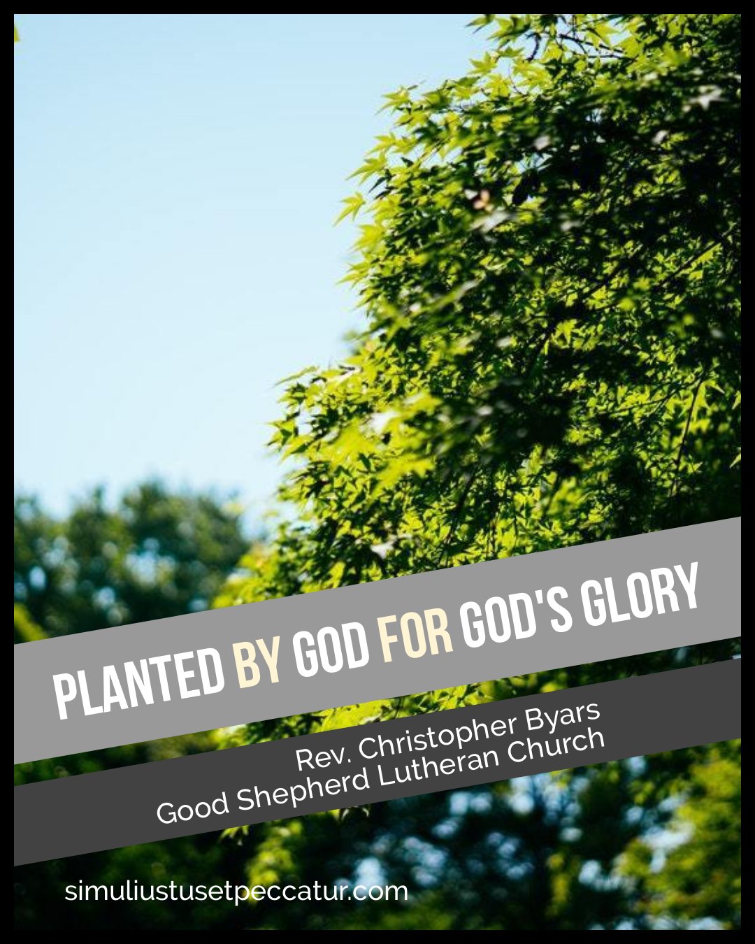 Planted by God