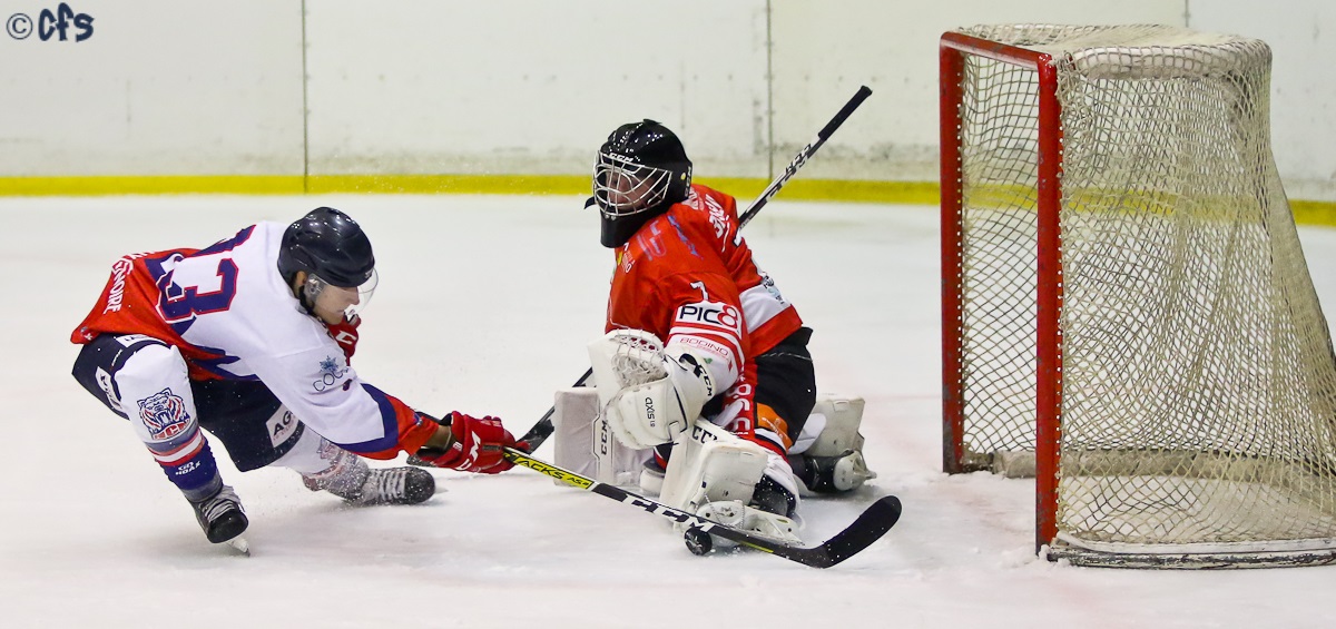 Hockey Club Milano Bears