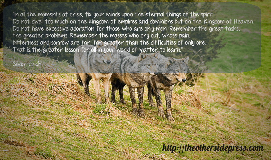 Silver birch quote
