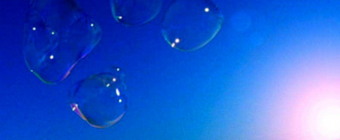 4cell transcommunication
