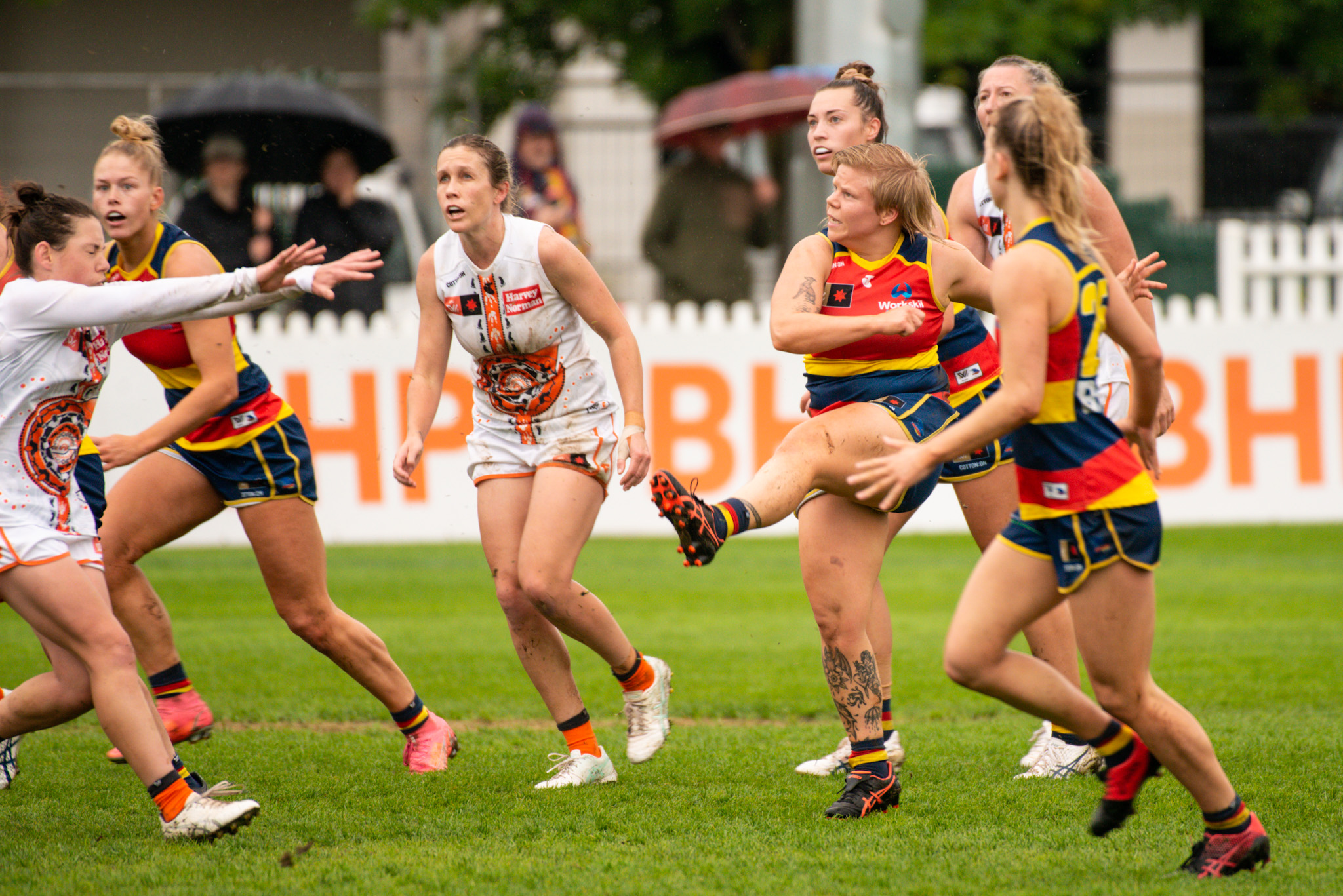 Jess Waterhouse Adelaide Crows