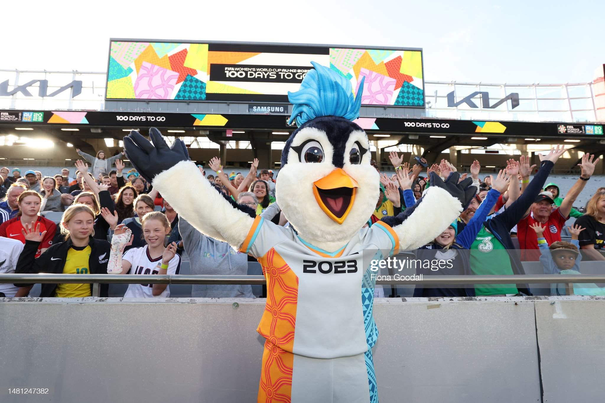 FIFA Women's World Cup Stadia: Unveiling the Arenas - New Zealand ...