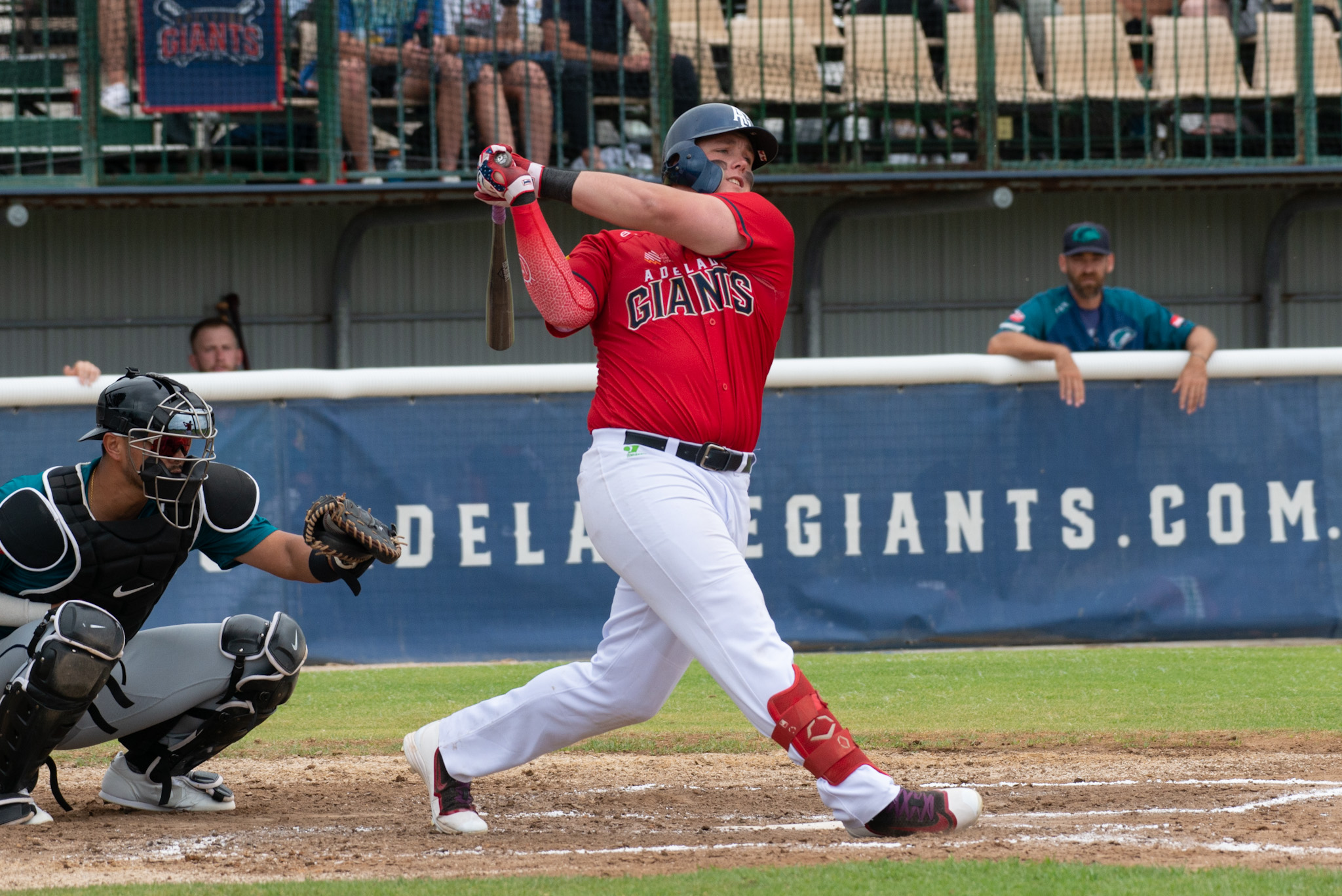 Jordan McArdle feels he is having his best season in the ABL to date. Photo: Dani Brown.