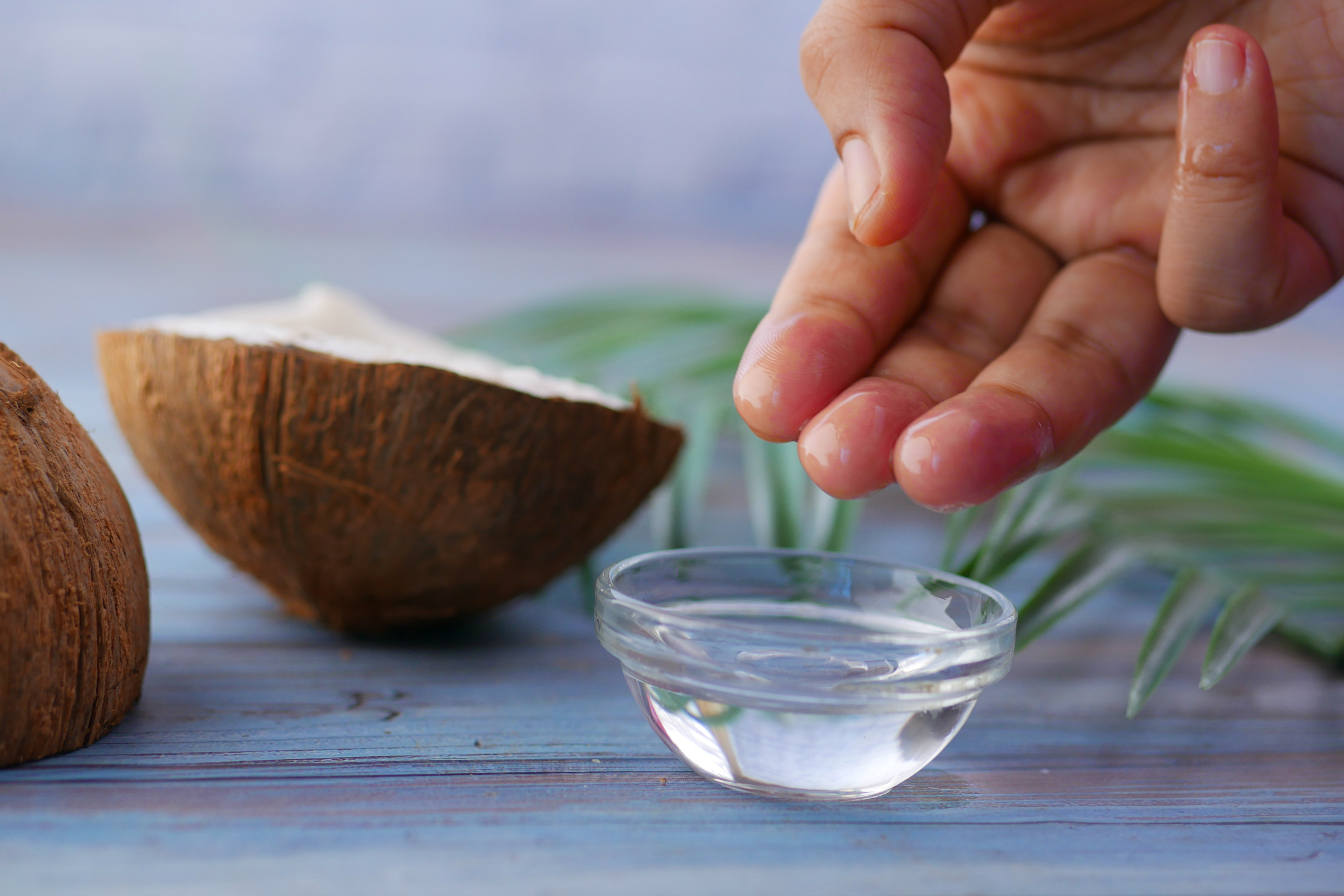 Coconut husks open exposing, the meat and hand that dipped from a bowl of coconut oil