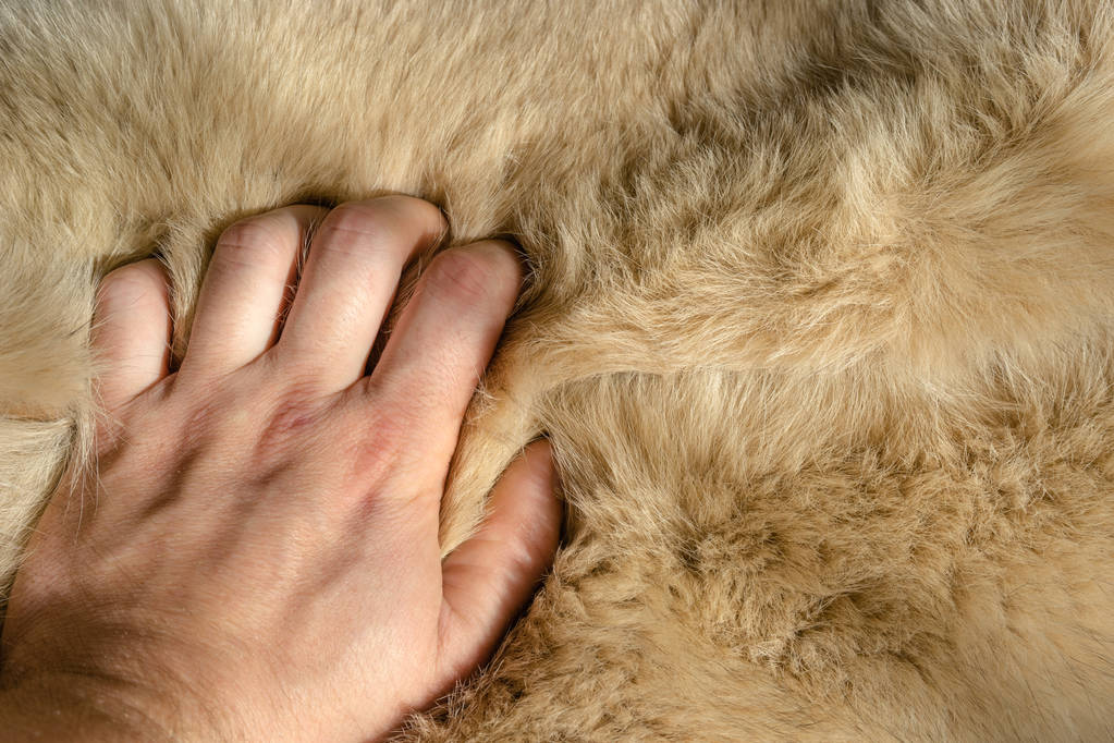 Best Soap for Lupus Skin Top 5 Picks for Sensitive Skin Care Skincare Boo