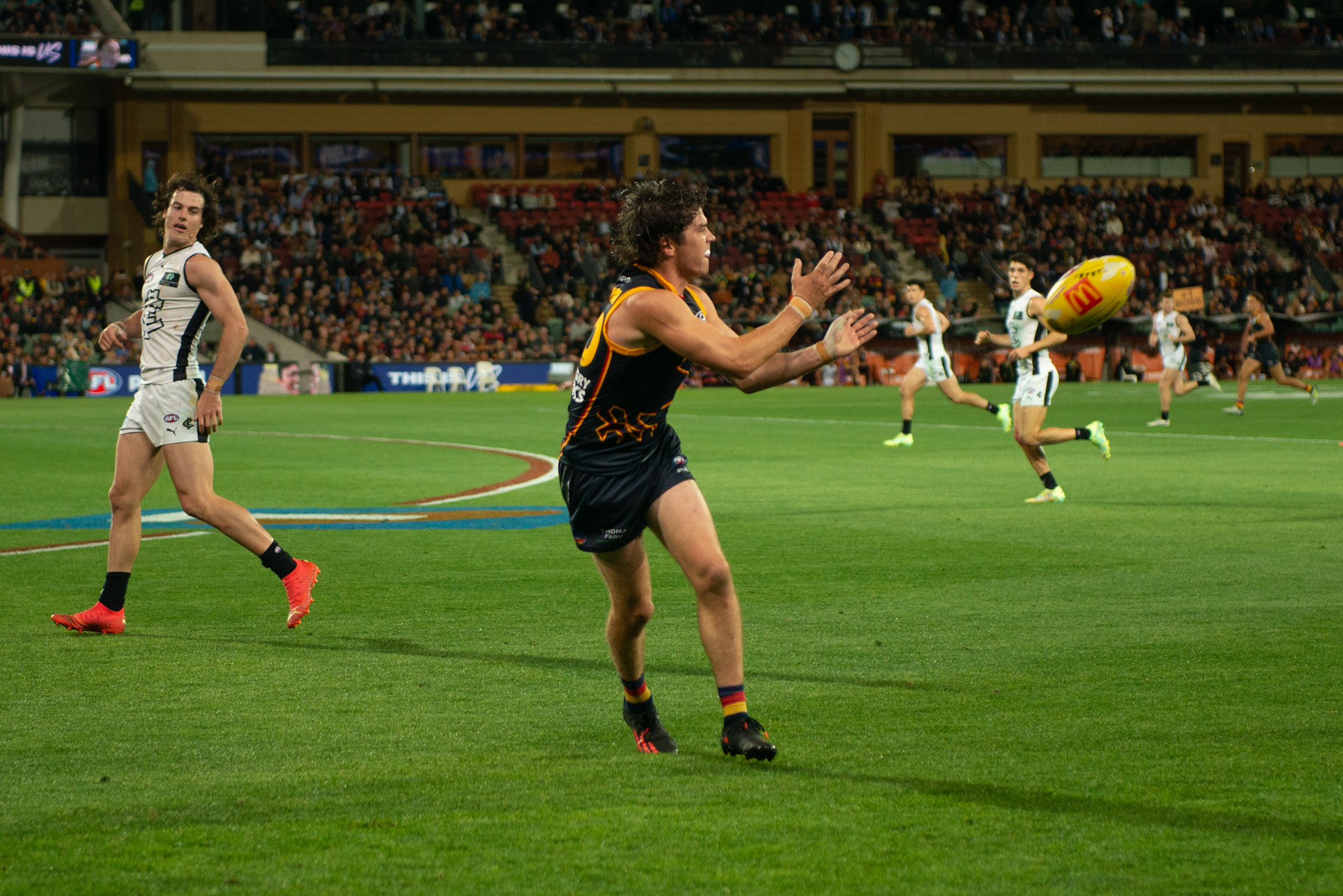 Ned McHenry had an immediate impact for the Crows as their sub. Photo: Dani Brown.